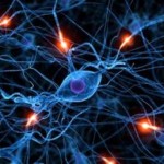 Maladies neurodégénératives Maladies neurodégénératives