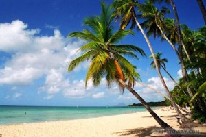 Vitamine d