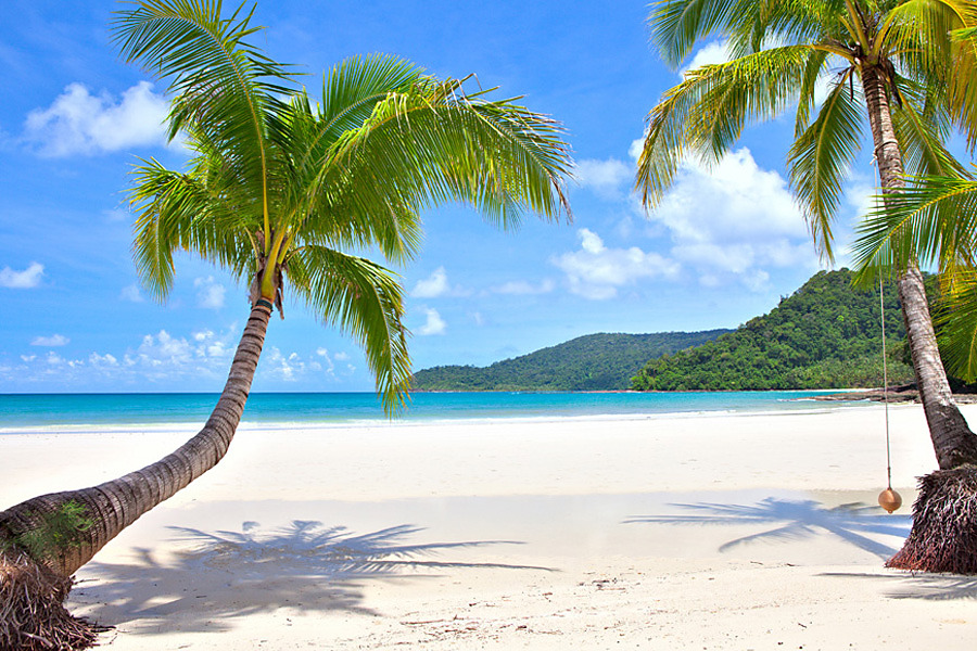 Fibromyalgia Santé Vitalité Vitality and Health